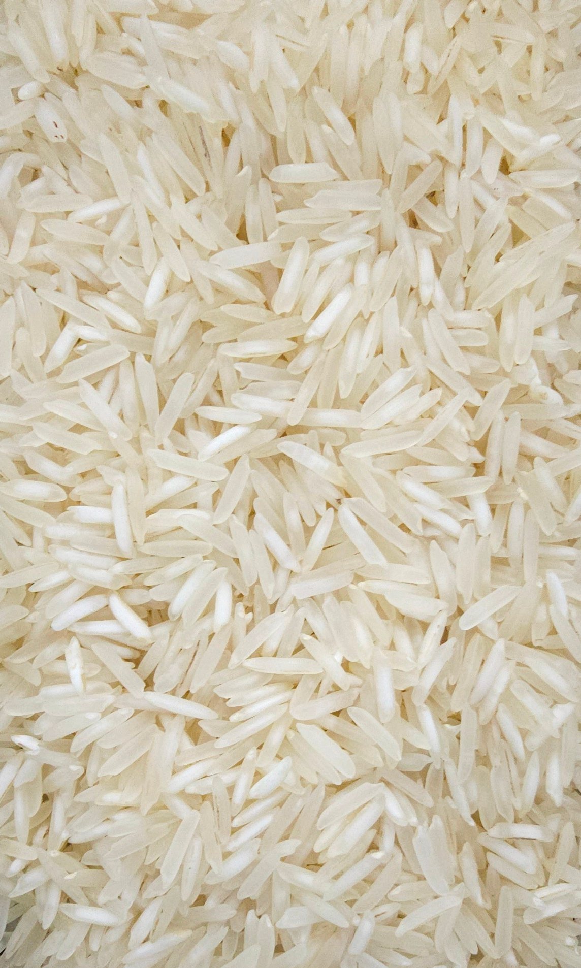 Welcome to Janki Dass Rice Mills