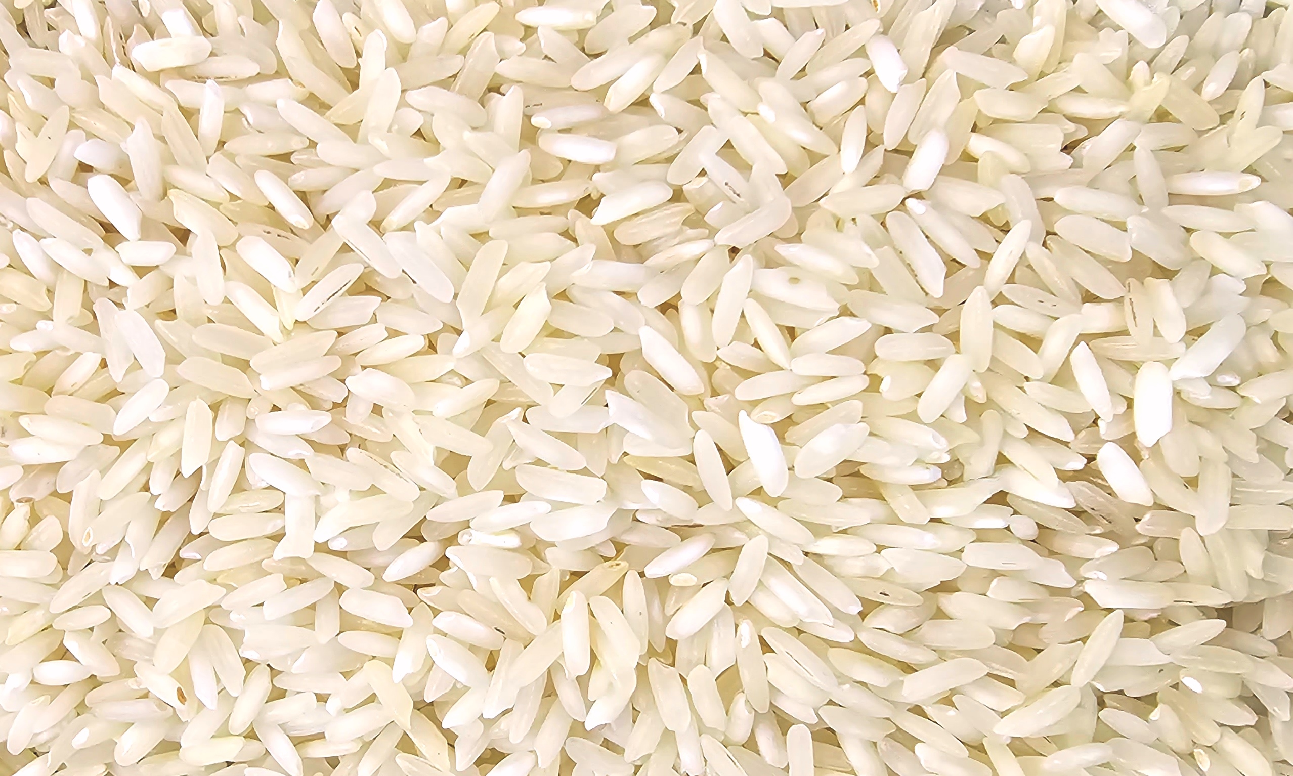 Indian Basmati Rice Exporter in India | Janki Dass Rice Mills
